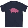 Pink Floyd AWBDG T-shirt