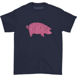 Pink Floyd AWBDG T-shirt