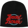 DAVID BOWIE 1978 World Tour Logo Beanie